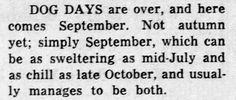 an old black and white newspaper clipping with the caption dog days are over, and here comes september not autumn yet simply