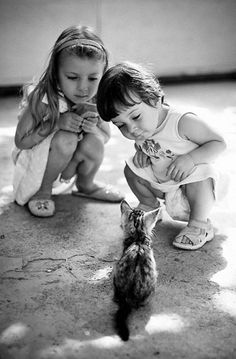 Cats Videos, Image Chat, Cuteness Overload, Animals Friends, Black And White Photography, Animals For Kids, Cats And Kittens