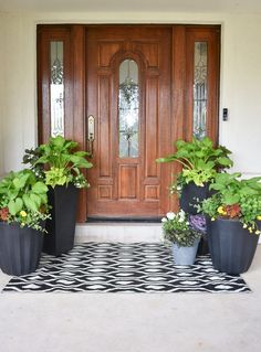 three potted plants are sitting on the front porch floor in front of a door