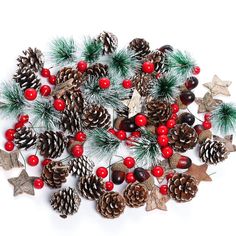 PRICES MAY VARY. 108pcs CHRISTMAS Artificial Pine Cone Set:these set include 24pcs 3-4cm/1.18-1.57inches white-rimmed pine cones , 12pcs 4.5cm/1.78inches white-rimmed pine branches , 12pcs acorns , 12pcs 4cm/1inche birch bark stars , 24pcs 1.5cm/0.59inche berries, 24pcs 1.2cm/0.47inch berries, 108 in total ,which is appropriate for you to decor your home, also you can stick it to some Christmas cards, posters, DIY easily. VIVID AND LIFELIKE NATURAL PINECONES ACORNS RED BERRIES SET:Our product is Berries Christmas Decor, Vegetable Pictures, Gift Boxes Decoration, Christmas Tree On Table, Artificial Fruit, Winter Decorations, Pine Branches, Pine Cone Decorations, Pine Branch