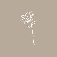 a white flower on a gray background with the word love written across it in cursive writing