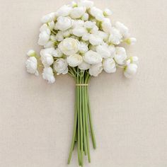 a bouquet of white flowers sitting on top of a beige table next to a wall