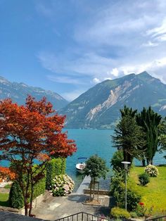 a boat is docked in the water near some trees and bushes with mountains in the background