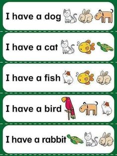 four different types of words with animals and birds on them, one is in green