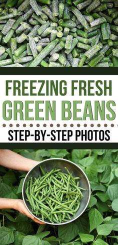 fresh green beans in a metal bowl with the words freezing fresh green beans step - by - step photos