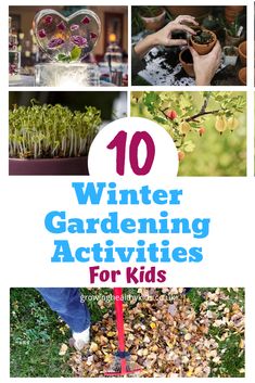 10 winter gardening activities for kids that are easy to do with the snow and ice