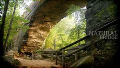 a large rock formation in the middle of a forest with stairs leading up to it