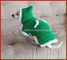 a small dog wearing a green and white crocheted sweater on top of a couch