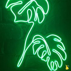 a green neon sign that has been placed on the wall