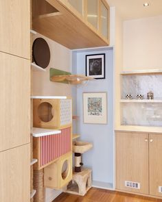 a room with shelves and cat toys in it