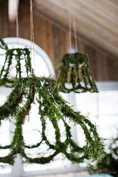 moss covered chandelier hanging from the ceiling