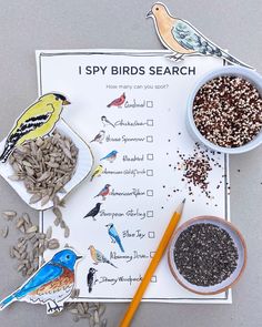 birds and seed mix on a paper plate next to a yellow pencil, bowl of seeds