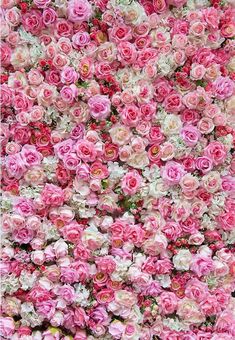 Red Rose Flower Wall Backdrop for Photo Booth F-2372 Rose Flower Wall, Pink Flowers Wallpaper, Flower Wall Backdrop, Rose Background, Red Rose Flower, Studio Props, Floral Backdrop, Wall Backdrops, Flower Photography