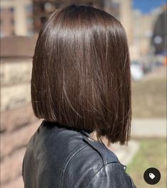 Semi Bob Haircut, Medium Brown Bob Haircut, Brunette Short Straight Hair, Bob Hairstyles Brunette Straight, Brown Bob Haircut Straight, Straight Brunette Bob, Short One Length Haircut, Black To Chocolate Brown Hair, Bluntcut Bob Brunette