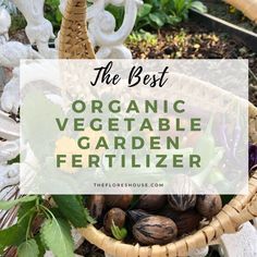 the best organic vegetable garden fertilizer for growing vegetables in containers and baskets with text overlay that reads, the best organic vegetable garden fertiizer