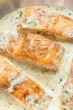 salmon fillets in a creamy sauce on a pan