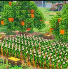 an image of a garden with many trees and plants in it, including carrots