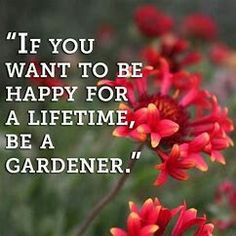 red flowers with the quote if you want to be happy for a life time, be a gardener