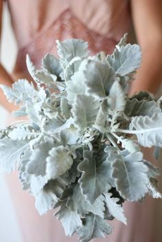 a bride holding a bouquet of flowers in her hands