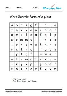 word search worksheet with words and pictures