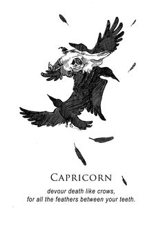 musterni-illustrates: “ - shitty horoscopes book iv: resolutions. it’s a new year. buy the zines | read them all | instagram | redbubble ” Capricorn Quotes, Portfolio Book, Zodiac Society, Zodiac Art, Zodiac Capricorn