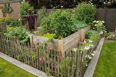 a garden filled with lots of different types of flowers and plants next to a fence