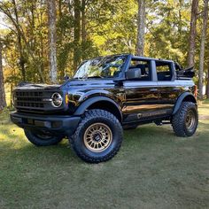 a large black truck parked in the grass