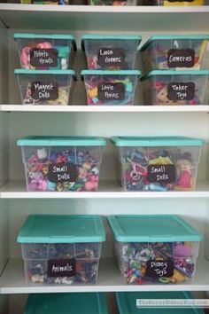 the shelves have plastic containers with labels on them that read, shelve toys