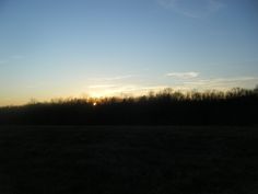 the sun is setting behind some trees in an open field with no leaves on it