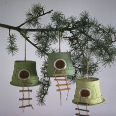 three bird houses hanging from a tree branch