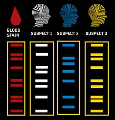 four different types of fingerprints on a black background with red, blue and yellow stripes