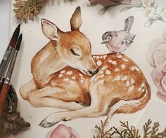 a drawing of a deer laying down next to a bird