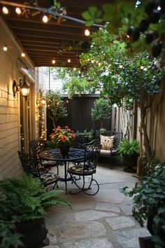 an outdoor patio with lights strung from the ceiling and potted plants on the table