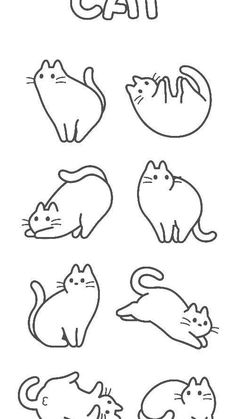 cats are drawn in black and white with the word cat on it