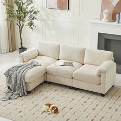 a dog is laying on the floor in front of a couch with a blanket over it