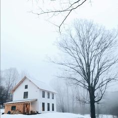 a white house in the snow next to a tree