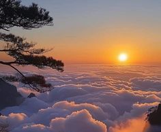 the sun is setting over some clouds in the sky with pine trees on each side