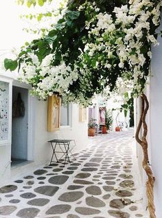 an instagram page with white flowers on the side of a building and a table in front of it