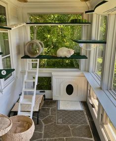 a white cat sitting on top of a window sill next to a dog house