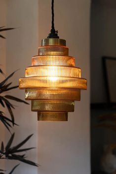 a light hanging from a ceiling next to a potted plant in a living room