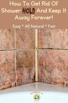 Black Mold In Shower, Diy Mold Remover, Remove Mold From Shower, Clean Black Mold, Shower Mold, Shower Grout, Mold Prevention, Clean Shower