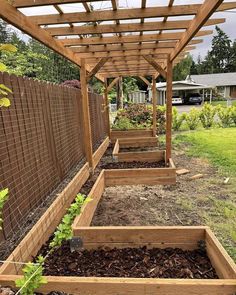 an outdoor garden area with wooden planters and plants growing in the soil under a pergolated trellis