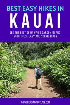 the best hikes in kauai see the best of hawaii's garden island with these easy and scenic hikes