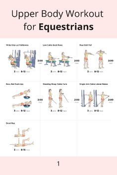 the upper body workout for equestrians is shown in this exercise manual, with instructions to use