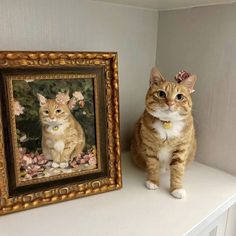 an orange and white cat sitting next to a painting on a shelf in a room