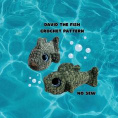 there are two fish in the water and one is not sew or sew