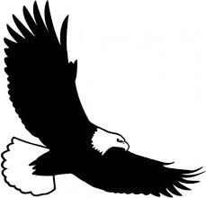 an eagle flying in the sky with its wings spread