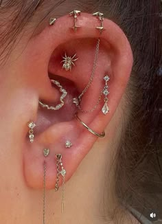 the ear is adorned with many different types of piercings