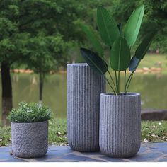 three cement vases with plants in them sitting on a stone walkway next to a pond