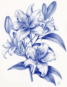 Colorful Lily Tattoo Artistry Set Filligree Tattoos Designs, Filligree Tattoos, Cute Simple Tattoos, Ballpoint Pen Art, Lily Tattoo, Tattoo Portfolio, Tattoo Design Book, Easy Doodle Art, Tattoos Designs